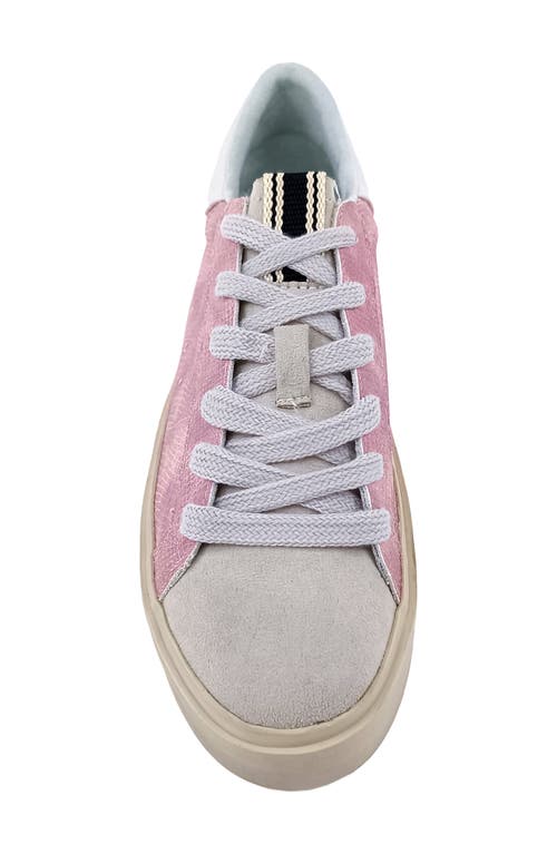 Shushop Sienna Low Top Sneaker In Pink Snake