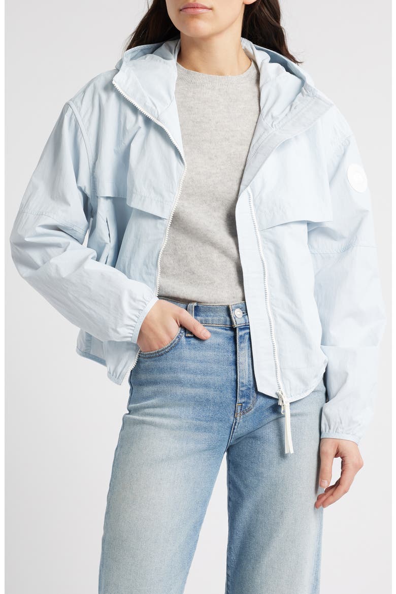 Sinclair Hooded Rain Jacket, Alternate, color, EARLY FROST