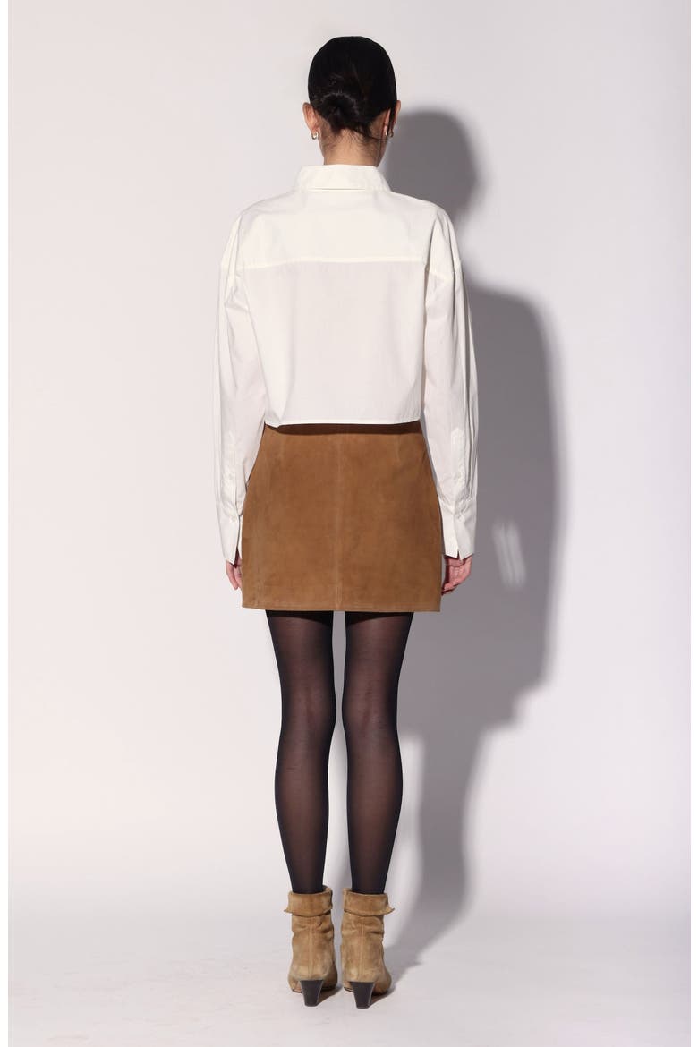Sidney Suede Leather Skirt, Alternate, color, Brown