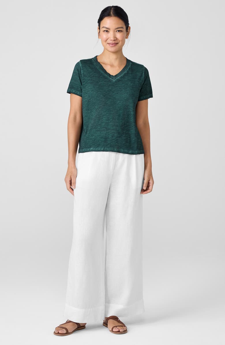 Eileen Fisher V-Neck Organic Cotton T-Shirt, Alternate, color, Aegean