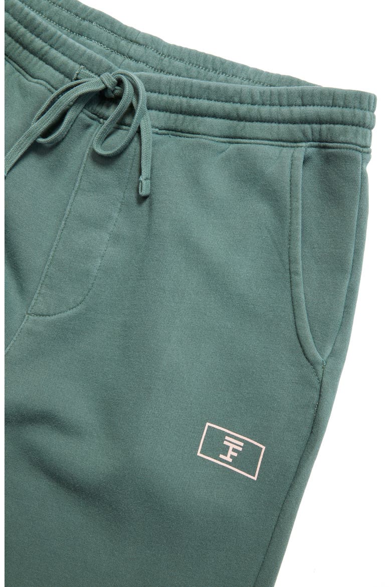 Logo Cotton Joggers (Nordstrom Exclusive), Alternate, color, SAGE