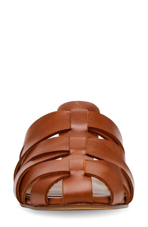 Steve Madden Jansen Mule In Tan Leather