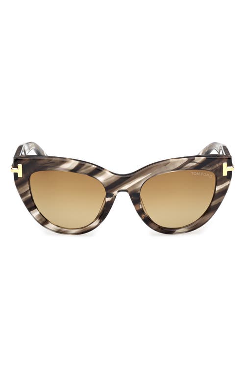Tom Ford Icon Collection Cat-eye Sunglasses In Multi