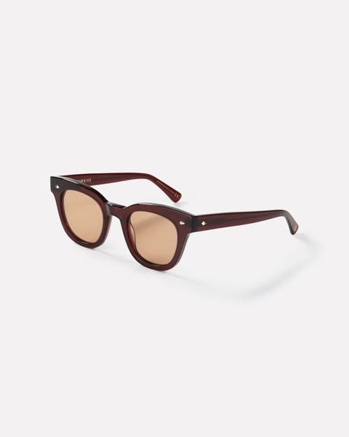 Epokhe Dylan Sunglasses In Brown