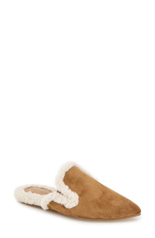 Splendid Liza Pointed Toe Mule In Brown