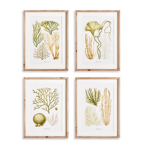 Verdant Coral Study Framed Wall Art Set of 4