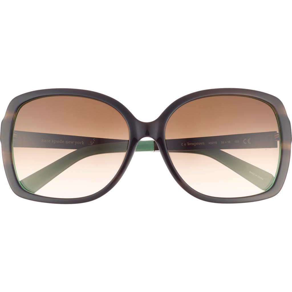 Kate Spade New York Darrilyn 58mm Butterfly Sunglasses In Brown Horn/brown Fuschia Ms