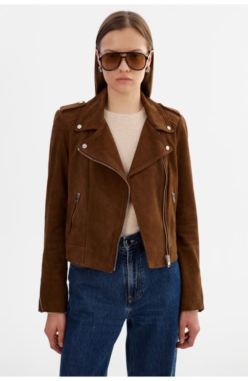 Lamarque Donna S | Suede Biker Jacket In Brown