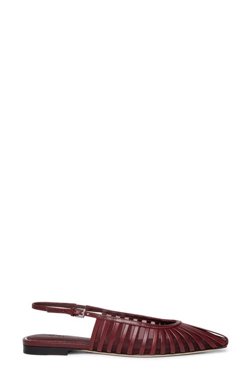 Paige Tera Pointed Toe Slingback Flat In Brown