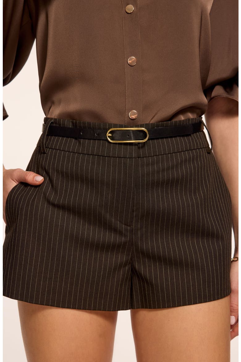 Ximena Shorts, Alternate, color, BROWN PINSTRIPE