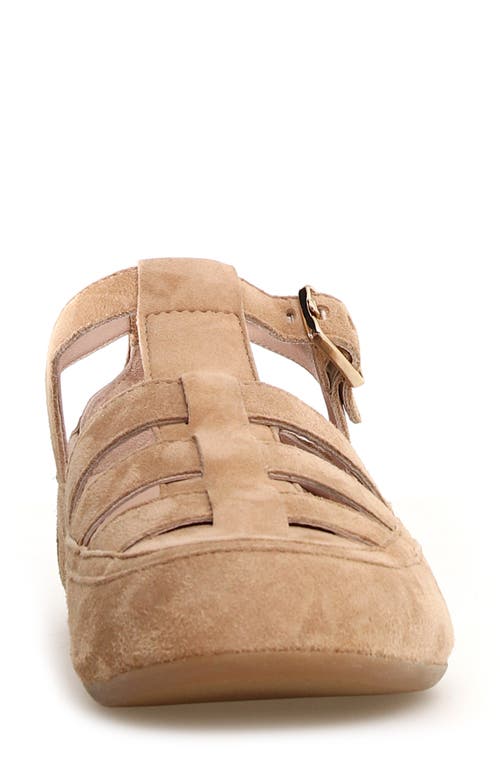 Candice Cooper Rock T-bar Fisherman Sandal In Cappuccino