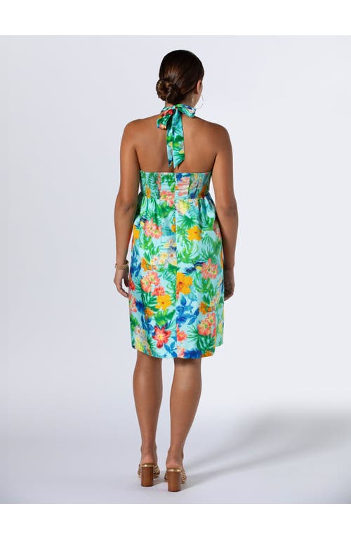 Tori Richard Tropical Loading... Lotte Dress In Aqua