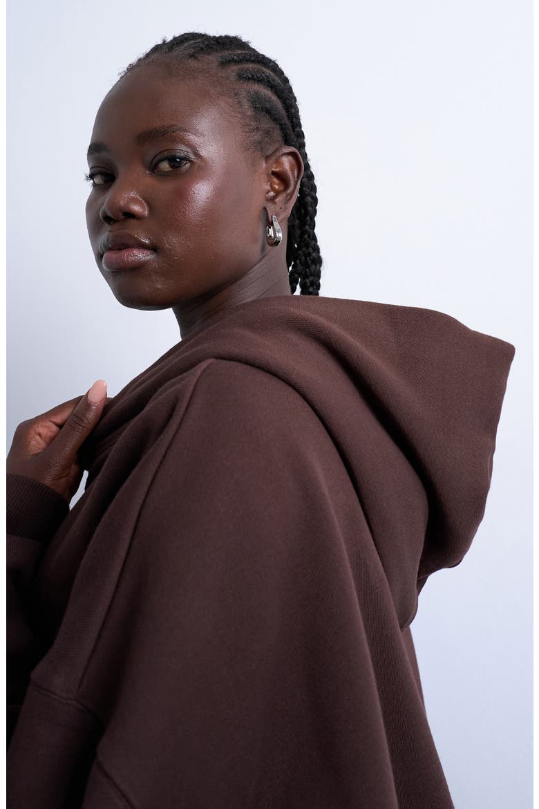 Heavyweight Oversize Hoodie, Alternate, color, BROWN