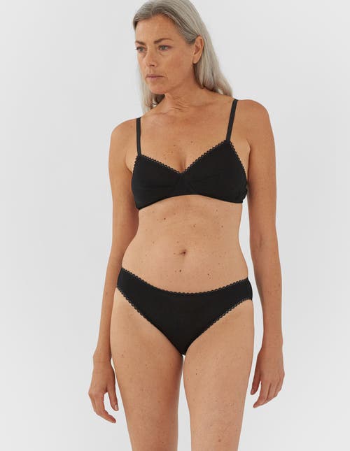 Araks Isabella Panty In Multi