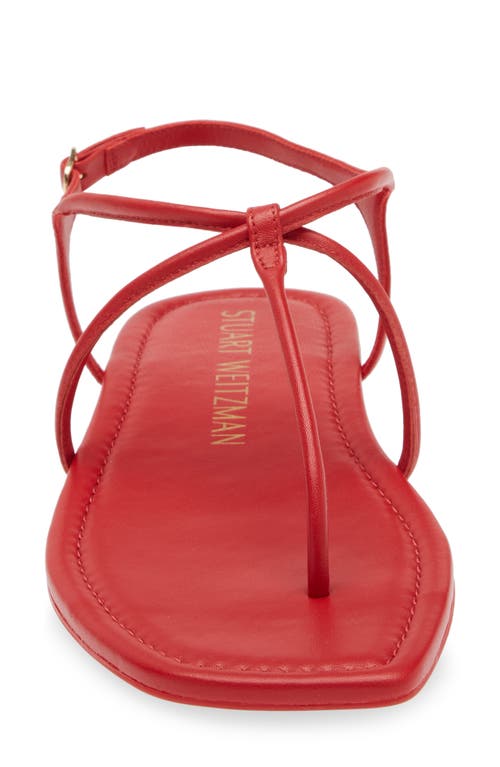 Stuart Weitzman Matilda Sandal In Cherry