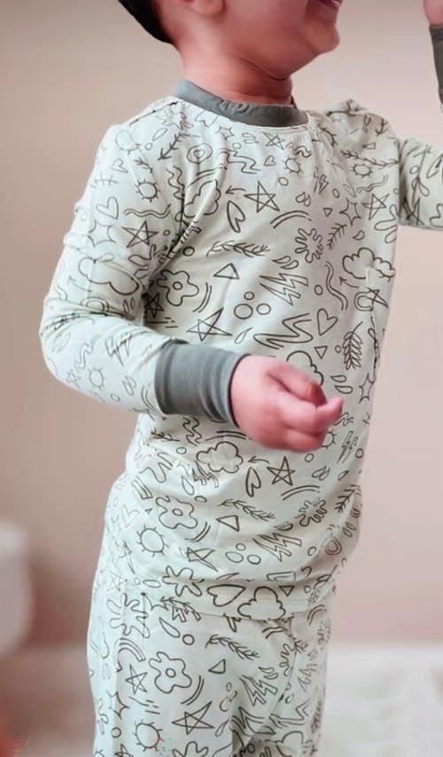 Everly Grey Emerson Fitted Long Sleeve 2-piece Pajamas In Green