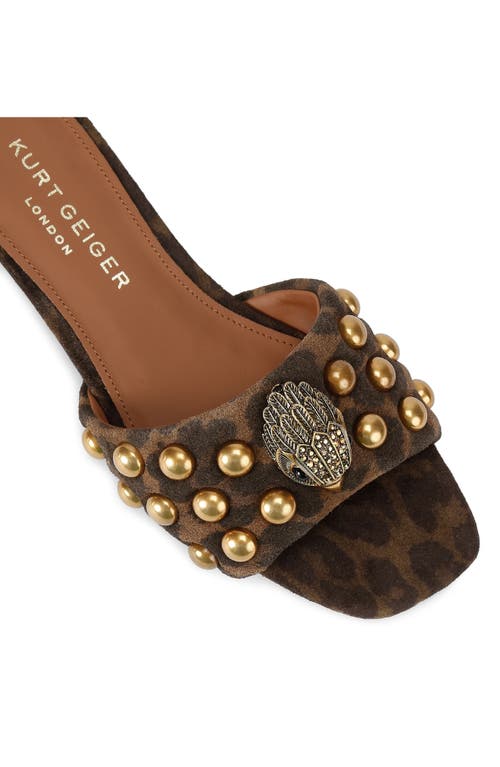 Kurt Geiger London Kensington Stud Slide Sandal In Brown