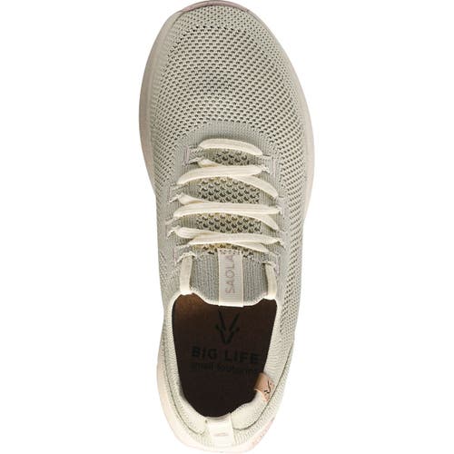 Saola Tsavo 3 Shoe In Gray