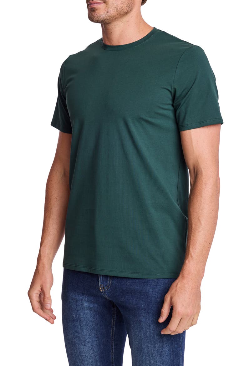 Lucas Crewneck T-Shirt, Alternate, color, FOREST GREEN