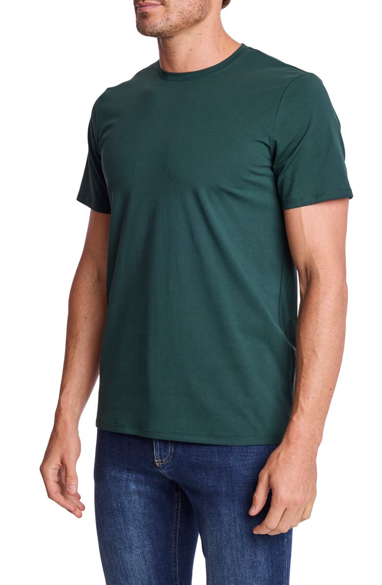 PAISLEY & GRAY Lucas Crewneck T-Shirt, Alternate, color, Forest Green