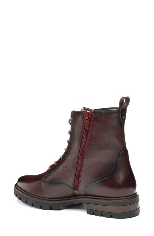 Ara Chatham Lace-up Boot In Animal Print