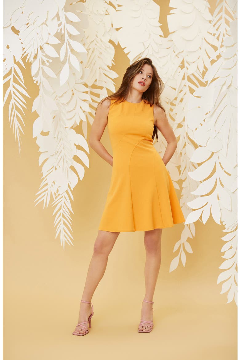 Sleeveless Fit & Flare Dress, Alternate, color, FLAME ORANGE