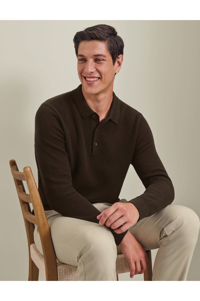 Knit Texture Long Sleeve Cotton Polo, Alternate, color, Chocolate Brown