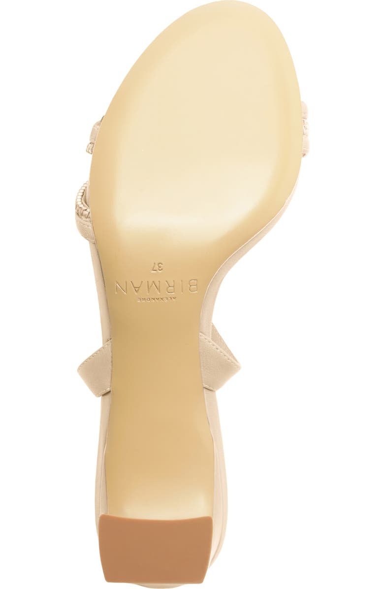 Alexandre Birman Zoe Ankle Strap Sandal, Alternate, color,