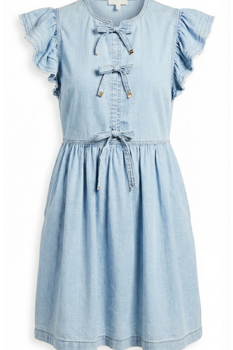 Sleeveless Ruffle Denim Mini Dress, Alternate, color, Light Wash Blue