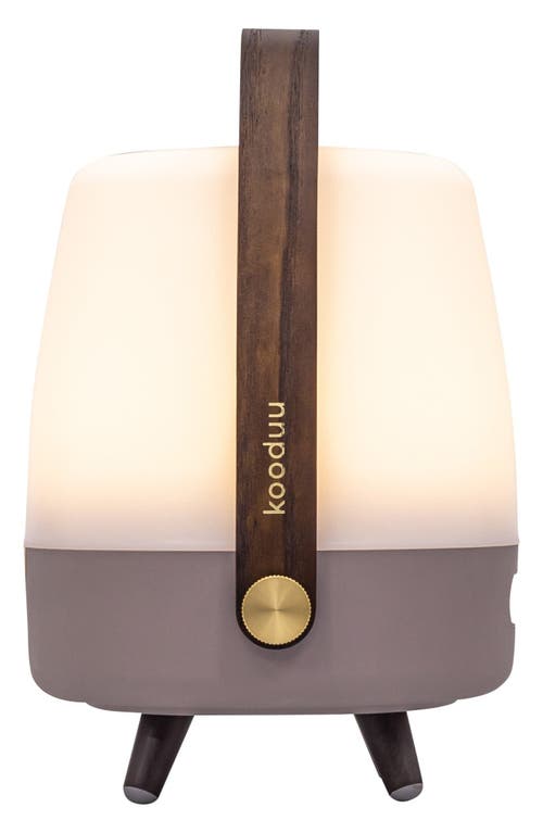 Adesso Lighting Lite Up Play Mini Lamp