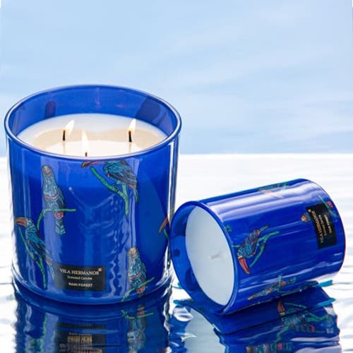 Vila Hermanos Vila Jungletropia Candle In Jar In Blue
