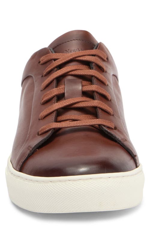 To Boot New York Pullman Sneaker In Cognac