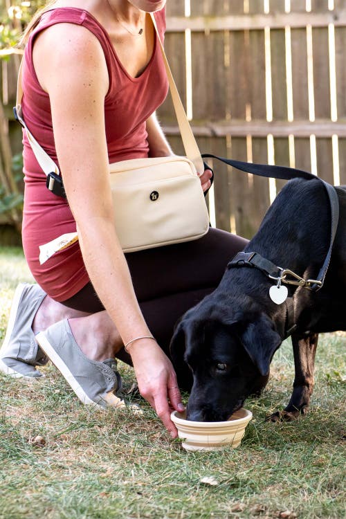 Puppington 3-in-1 Dog Walking Bag With Waste Bags Plus Travel Bowl And Reflective Leash In Brown