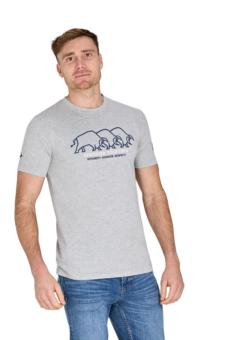 YFC Bull Herd High Build T-Shirt, Alternate, color, Light Grey Marl