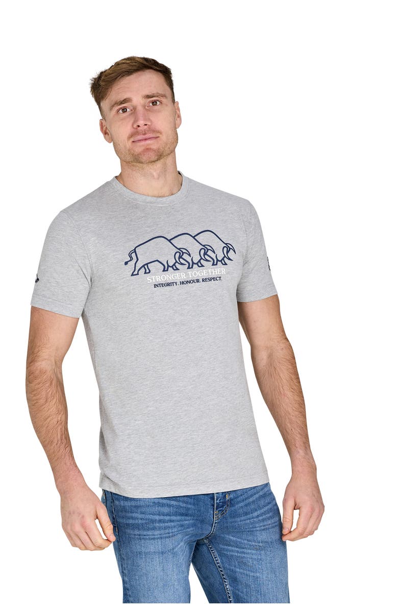 Raging Bull YFC Bull Herd High Build T-Shirt, Alternate, color, Light Grey Marl