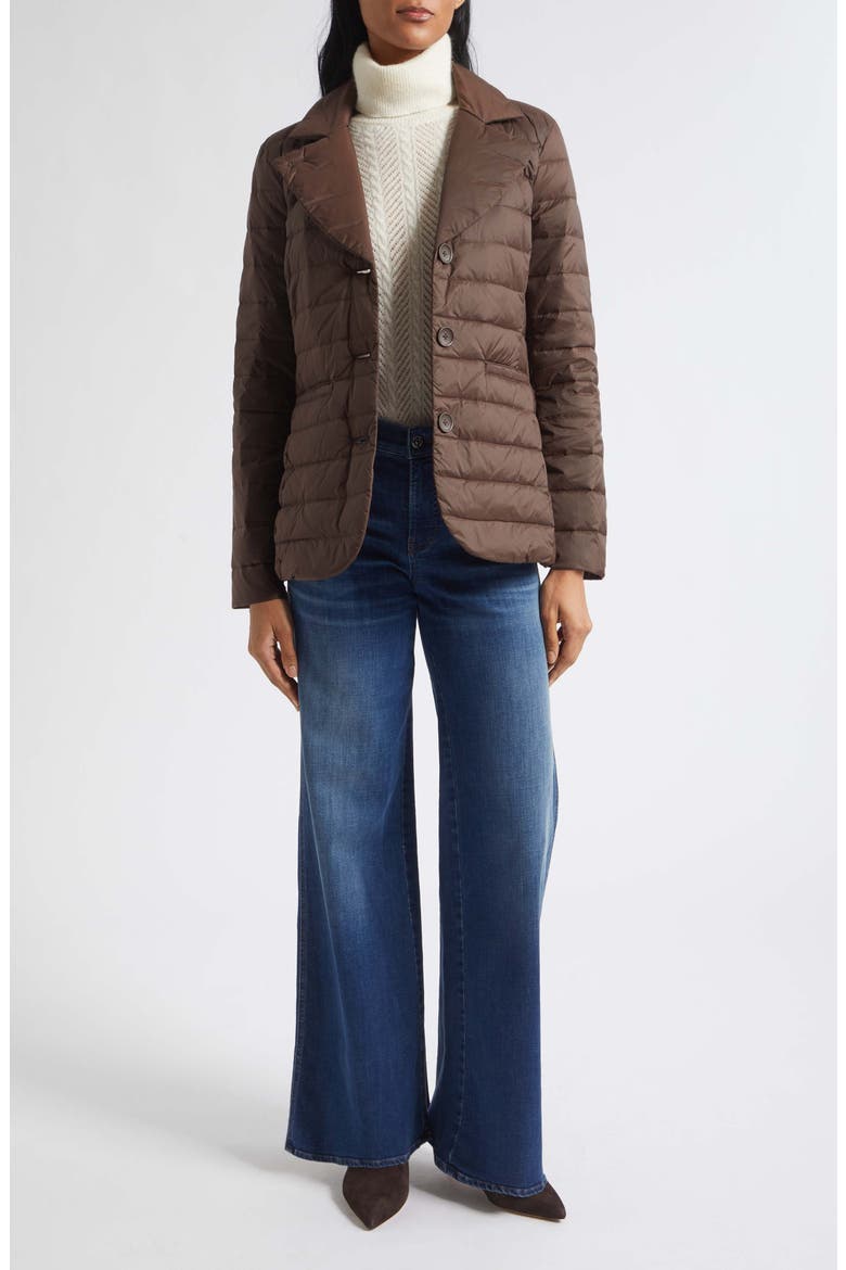 Campbell Down Dickey Jacket, Alternate, color, ESPRESSO