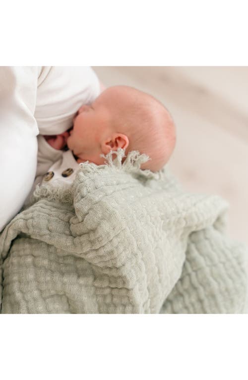 Crane Baby Ombré Cotton Muslin Blanket In Gray