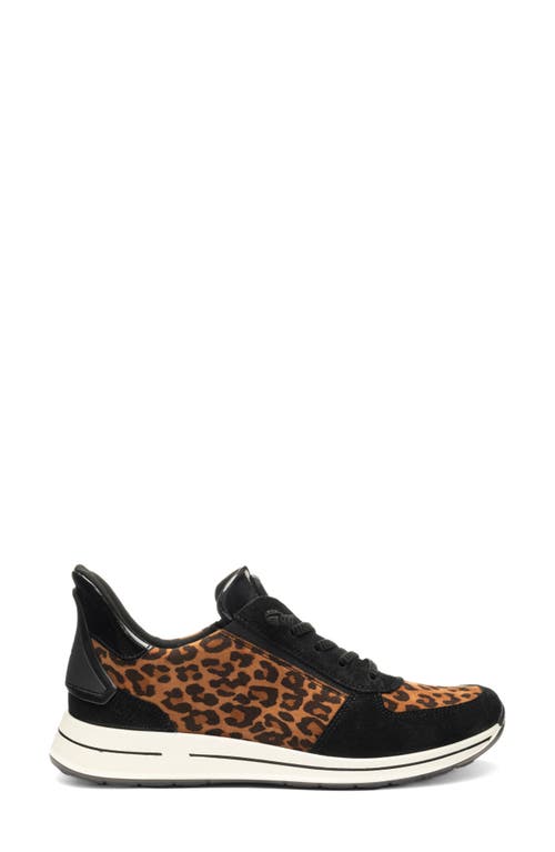 Ara Ovation Sneaker In Animal Print