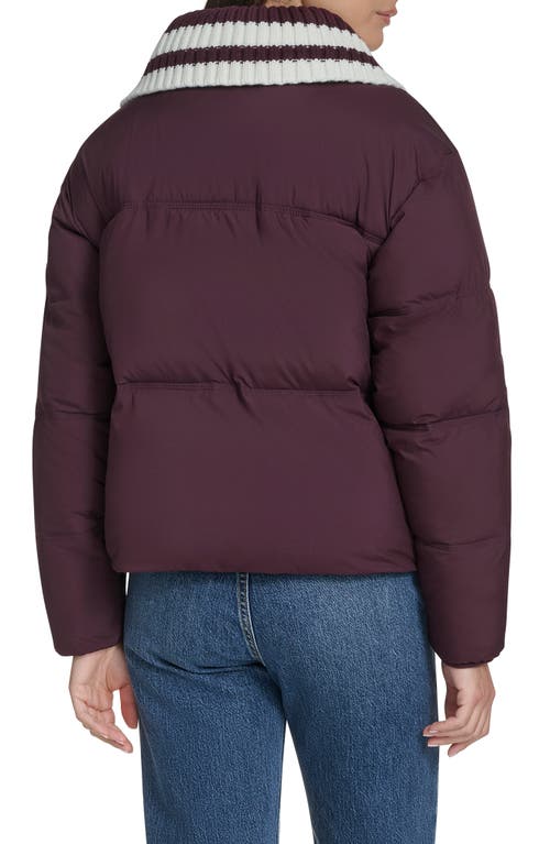 Champion Shawl Collar Puffer Jacket In Burgundy