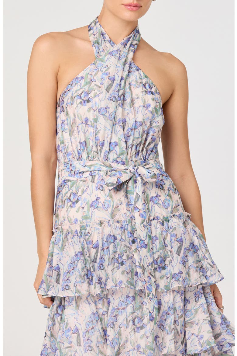 Adamaris Halter Tiered Ruffle Gown, Alternate, color, BLUE FLORAL