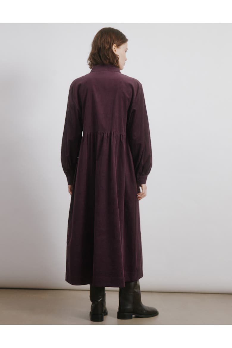 Cord Placket Midi Dress, Alternate, color, Burgundy