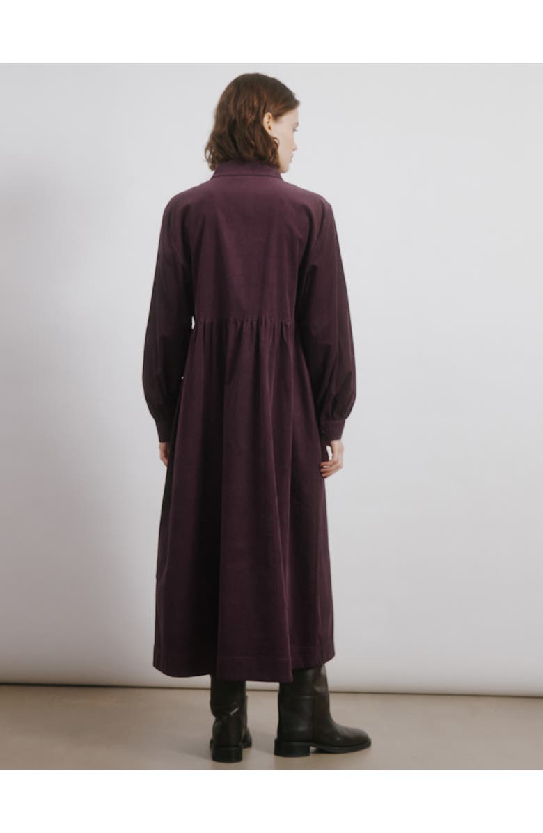 Albaray Cord Placket Midi Dress, Alternate, color, Burgundy