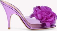 Gianvito Rossi Igea Mules