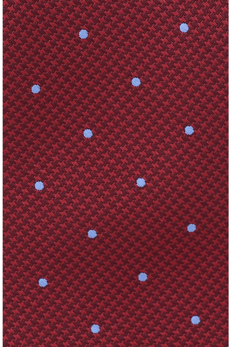 Medallion Tie, Alternate, color, BURGUNDY/ LIGHT BLUE
