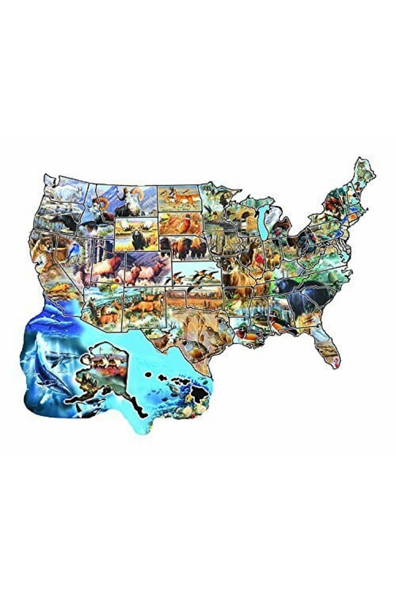 Wild America 600 piece Jigsaw Puzzle for Adults Special Shape, Alternate, color, Multicolor