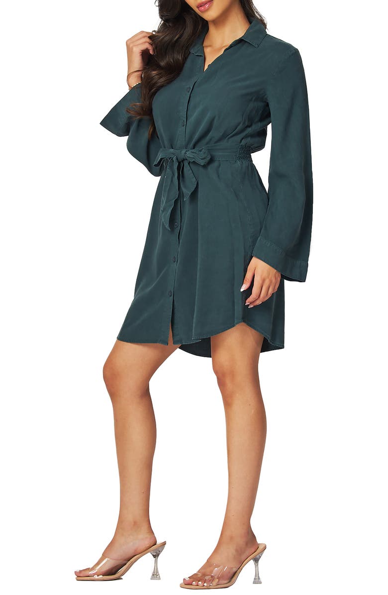 Bella Dahl Long Sleeve Mini Shirtdress, Alternate, color,
