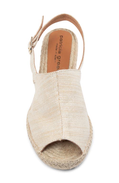 Patricia Green Shen Slingback Espadrille Sandal In Cream Natural Metallic