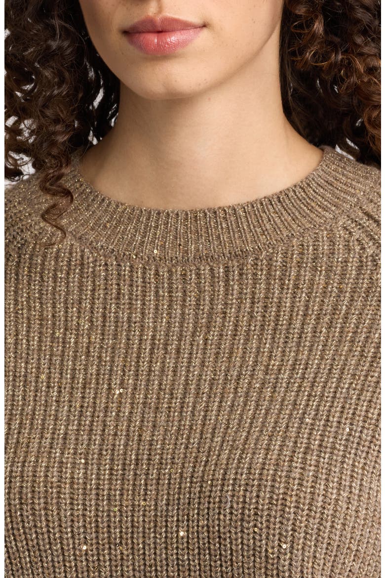 Kimberly Sequin Raglan Sleeve Sweater, Alternate, color, TOFFEE