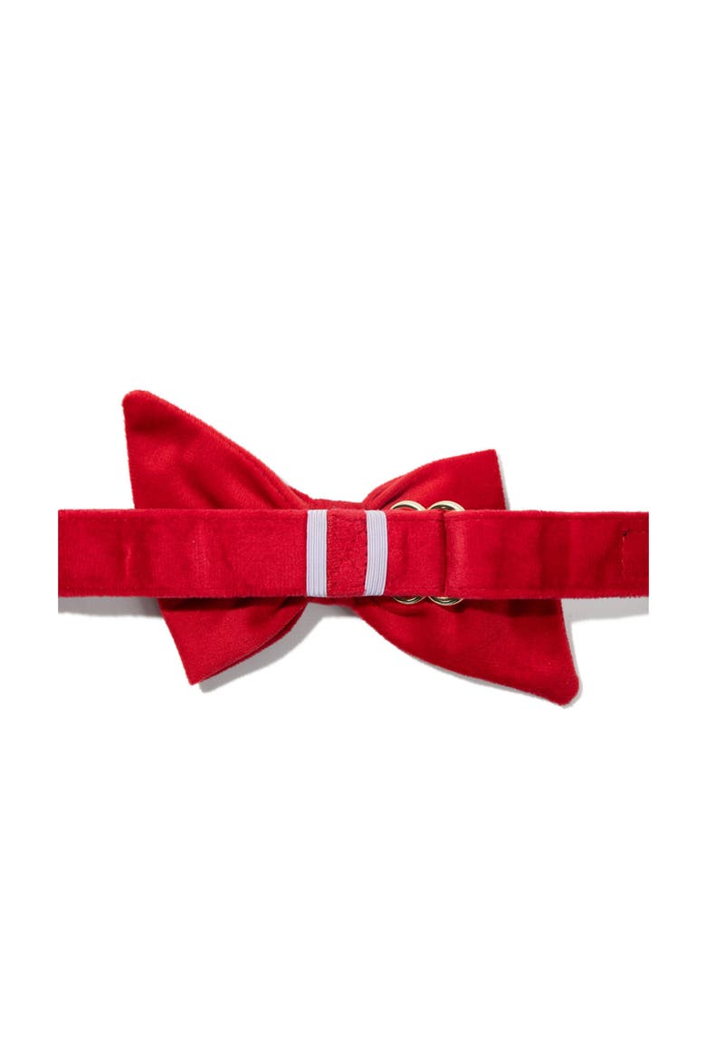 Blaze Babe Bow, Alternate, color, Blaze