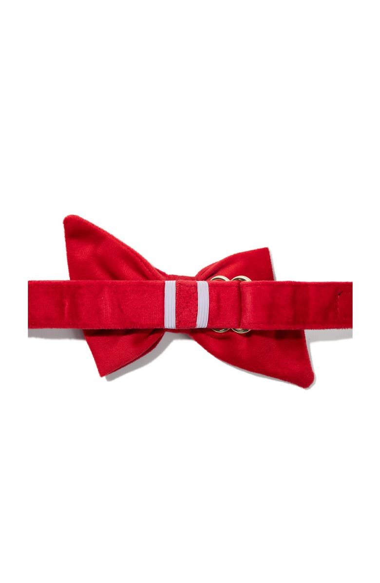 Pink Papyrus Blaze Babe Bow, Alternate, color, Blaze